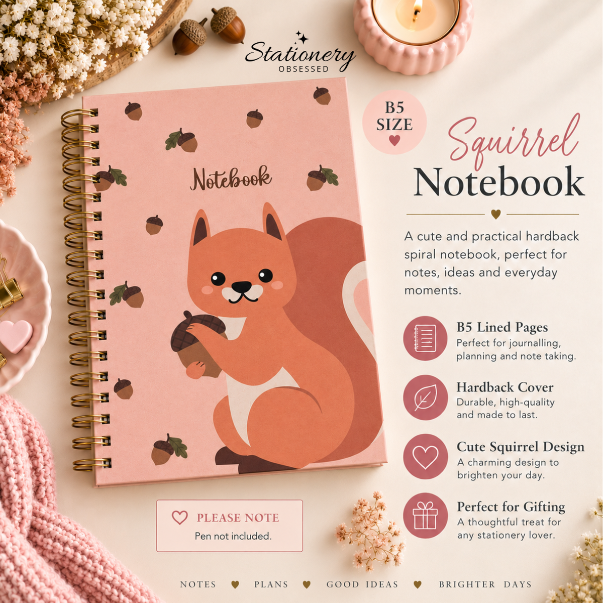 B5 Cute Squirrel Hardback Spiral Notebook
