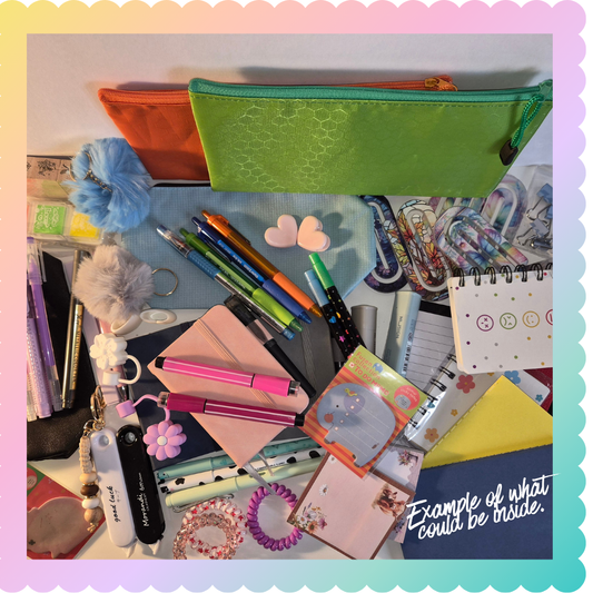 Stationery Obsessed Blind Stationery Bags